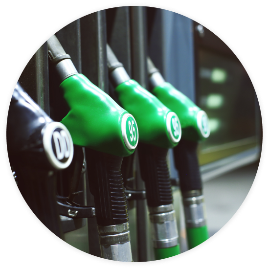 seaweed farming, aquaculture