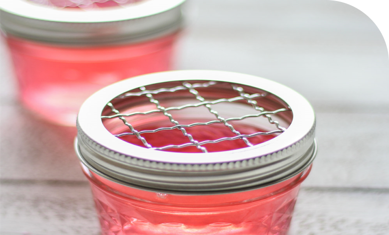 Seaweed cultivation or aquaculture process