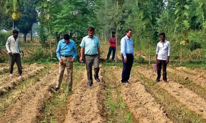 Scenic view of marine farming area